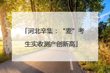 河北辛集：“麦”考生实收测产创新高