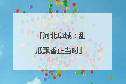 河北阜城：甜瓜飘香正当时