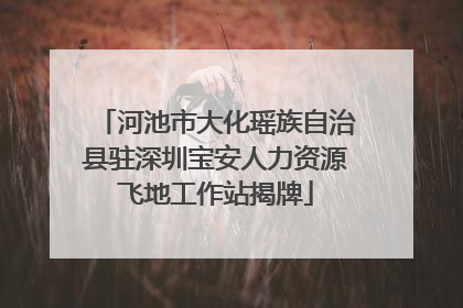 河池市大化瑶族自治县驻深圳宝安人力资源飞地工作站揭牌