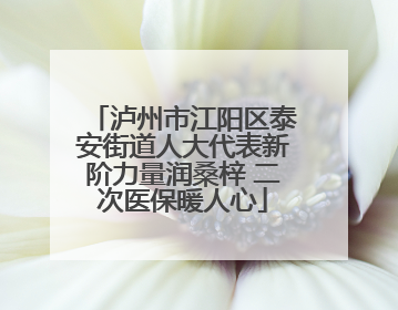 泸州市江阳区泰安街道人大代表新阶力量润桑梓 二次医保暖人心