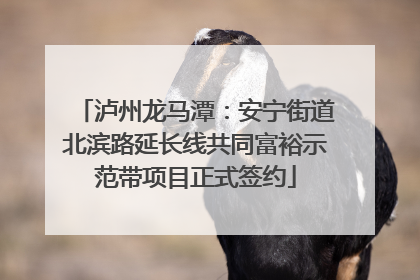 泸州龙马潭：安宁街道北滨路延长线共同富裕示范带项目正式签约