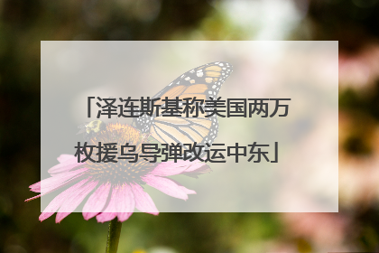 泽连斯基称美国两万枚援乌导弹改运中东