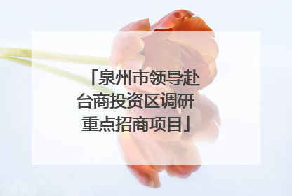 泉州市领导赴台商投资区调研重点招商项目