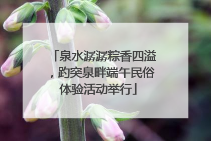 泉水潺潺粽香四溢，趵突泉畔端午民俗体验活动举行