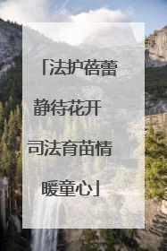 法护蓓蕾静待花开 司法育苗情暖童心