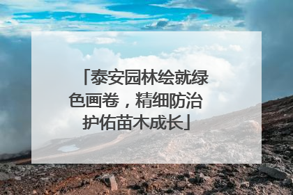 泰安园林绘就绿色画卷，精细防治护佑苗木成长