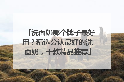 洗面奶哪个牌子最好用？精选公认最好的洗面奶，十款精品推荐