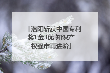 洛阳斩获中国专利奖1金3优 知识产权强市再进阶