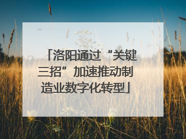 洛阳通过“关键三招”加速推动制造业数字化转型