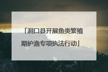 洞口县开展鱼类繁殖期护渔专项执法行动