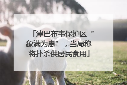 津巴布韦保护区“象满为患”，当局称将扑杀供居民食用