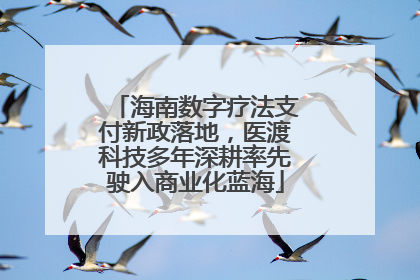 海南数字疗法支付新政落地，医渡科技多年深耕率先驶入商业化蓝海