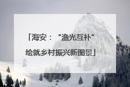海安：“渔光互补” 绘就乡村振兴新图景