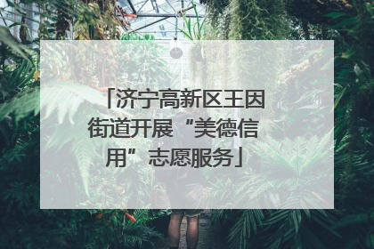 济宁高新区王因街道开展“美德信用”志愿服务