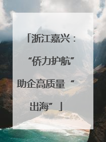 浙江嘉兴：“侨力护航”助企高质量“出海”