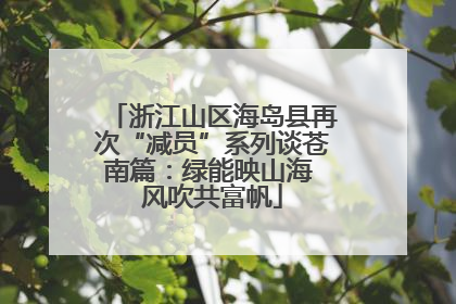 浙江山区海岛县再次“减员”系列谈苍南篇：绿能映山海 风吹共富帆