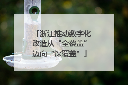 浙江推动数字化改造从“全覆盖”迈向“深覆盖”