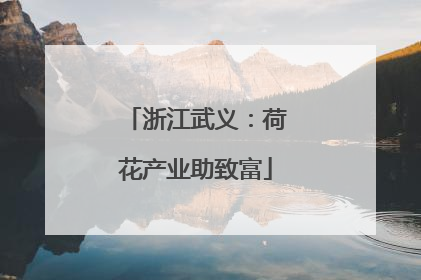 浙江武义：荷花产业助致富