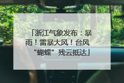 浙江气象发布：暴雨！雷暴大风！台风“蝴蝶”残云抵达