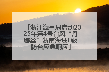 浙江海事局启动2025年第4号台风“丹娜丝”浙南海域II级防台应急响应
