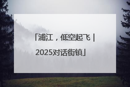浦江，低空起飞｜2025对话街镇