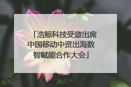 浩鲸科技受邀出席中国移动中资出海数智赋能合作大会