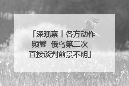 深观察丨各方动作频繁  俄乌第二次直接谈判前景不明