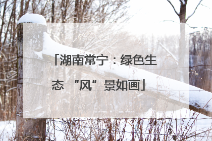 湖南常宁：绿色生态 “风”景如画