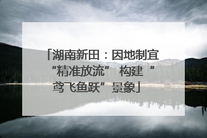 湖南新田：因地制宜“精准放流” 构建“鸢飞鱼跃”景象