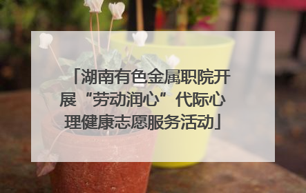 湖南有色金属职院开展“劳动润心”代际心理健康志愿服务活动