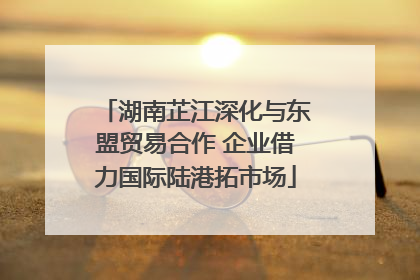 湖南芷江深化与东盟贸易合作 企业借力国际陆港拓市场