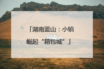 湖南蓝山：小镇崛起“箱包城”