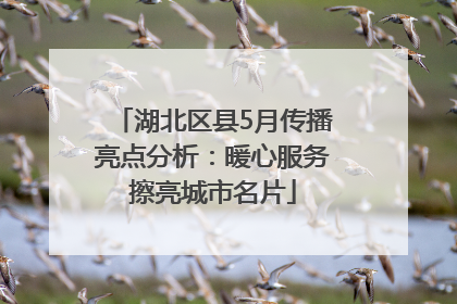 湖北区县5月传播亮点分析：暖心服务擦亮城市名片