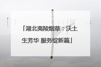 湖北夷陵烟草：沃土生芳华 服务绽新篇