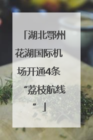湖北鄂州花湖国际机场开通4条“荔枝航线”