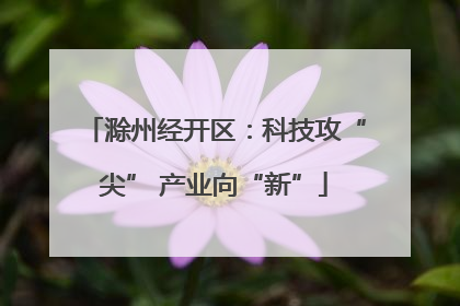 滁州经开区：科技攻“尖” 产业向“新”