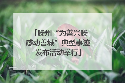 滕州“为善兴滕 感动善城”典型事迹发布活动举行