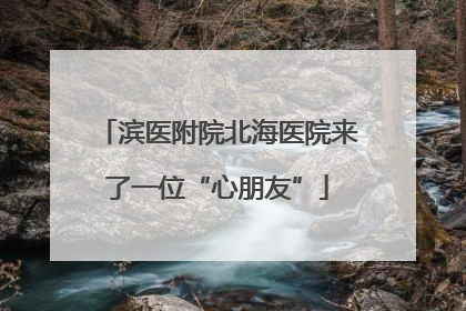 滨医附院北海医院来了一位“心朋友”