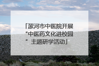 漯河市中医院开展“中医药文化进校园”主题研学活动