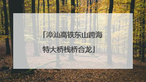 漳汕高铁东山跨海特大桥栈桥合龙