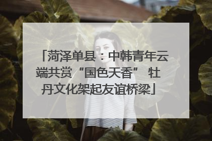 菏泽单县：中韩青年云端共赏“国色天香” 牡丹文化架起友谊桥梁