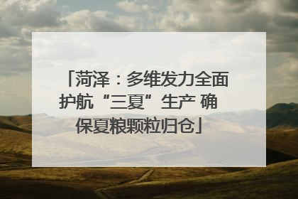 菏泽：多维发力全面护航“三夏”生产 确保夏粮颗粒归仓