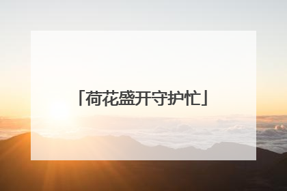 荷花盛开守护忙