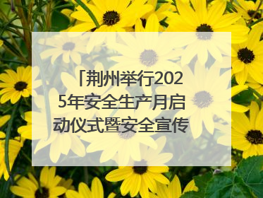 荆州举行2025年安全生产月启动仪式暨安全宣传咨询日活动