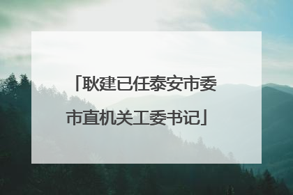 耿建已任泰安市委市直机关工委书记