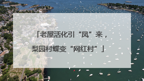 老屋活化引“凤”来，梨园村蝶变“网红村”