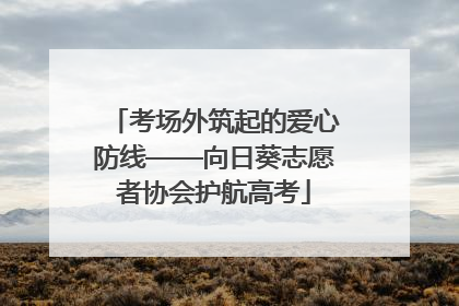 考场外筑起的爱心防线——向日葵志愿者协会护航高考