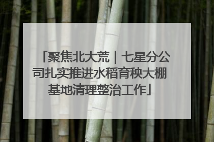 聚焦北大荒｜七星分公司扎实推进水稻育秧大棚基地清理整治工作