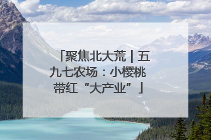 聚焦北大荒｜五九七农场：小樱桃带红“大产业”