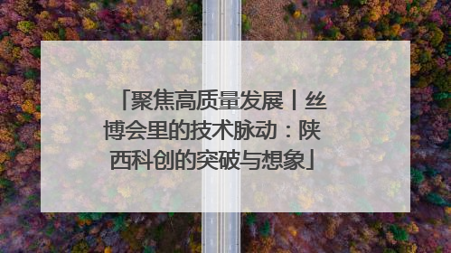 聚焦高质量发展丨丝博会里的技术脉动：陕西科创的突破与想象